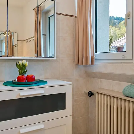Am Gunzenbach Apartment *